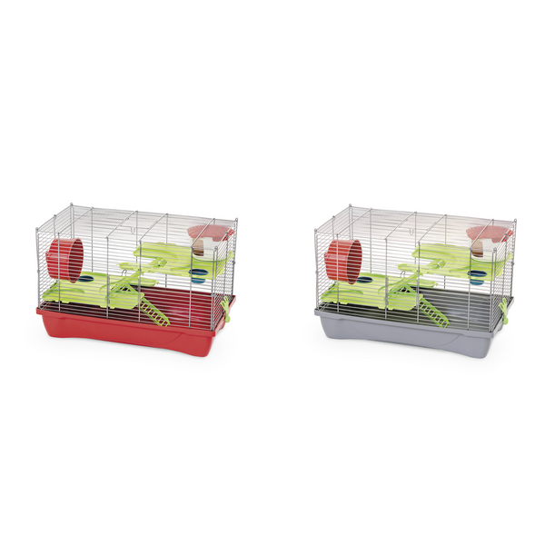 HAMSTER 12 Flat hörcsögketrec vegyes szín